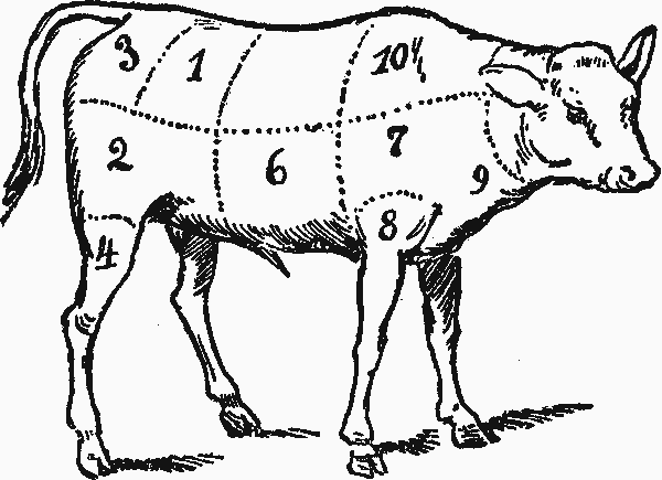 Veal Meat, Diagram of Calf
